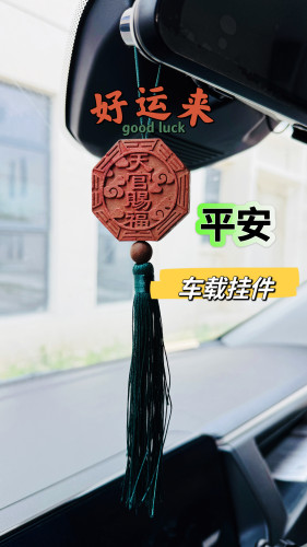 七香十二精药车载挂件车载平安挂件汽车挂件