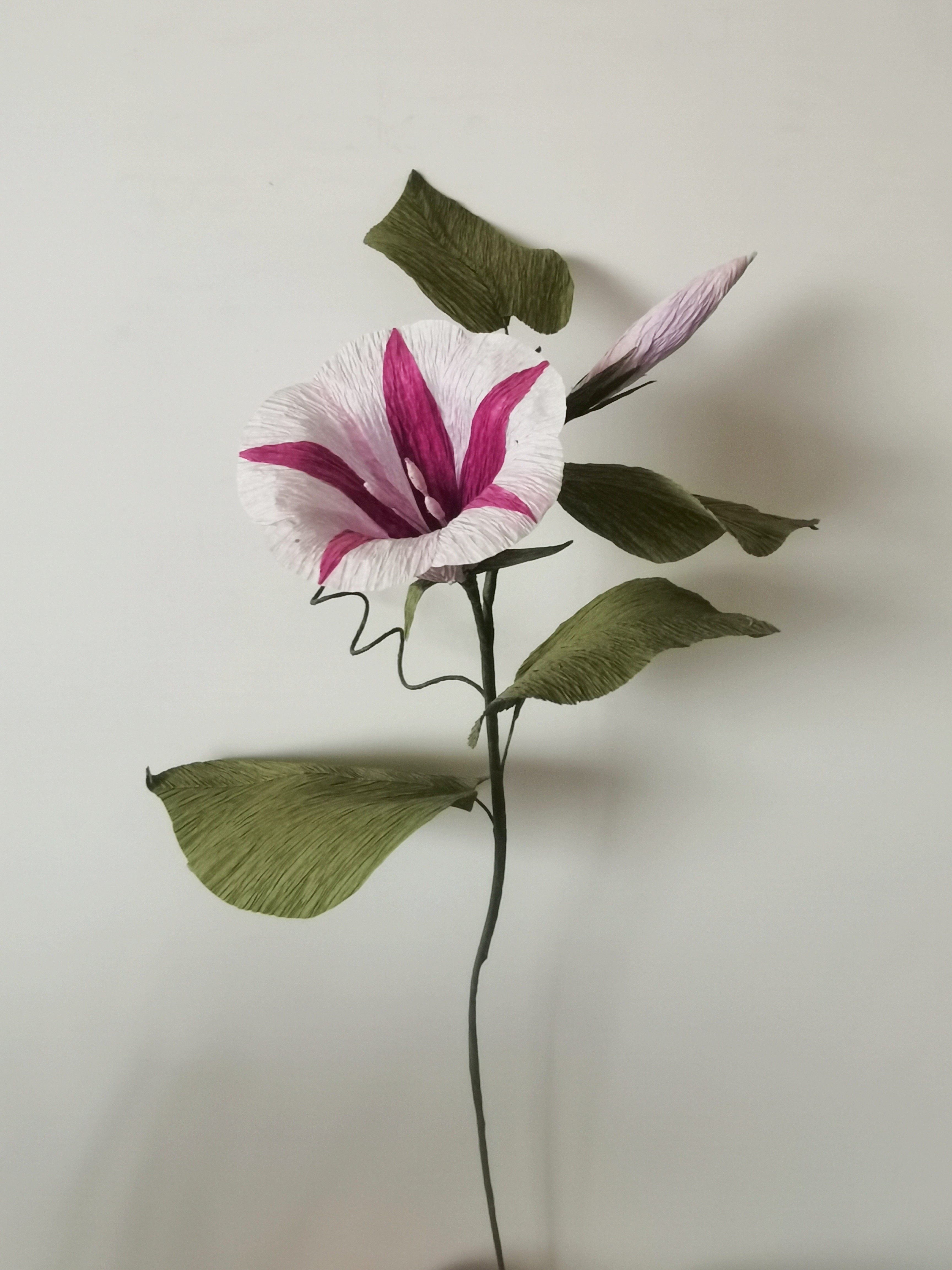 皱纹纸牵牛花成品手工花diy手作花纸艺皱卷纸花手工课作业情人节