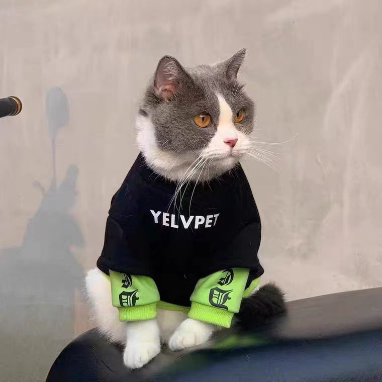 秋冬猫咪狗狗潮牌衣服布偶猫蓝猫防掉毛小型犬雪纳瑞宠物帅气服装