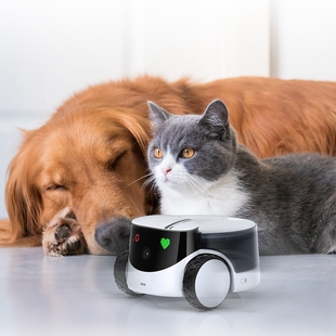 Ebo Rola智能宠物陪伴机器人远程操控全屋移动监控摄像头逗宠投喂