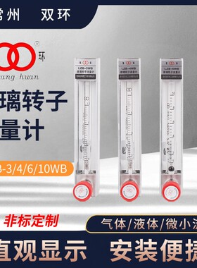 玻璃转子流量计双环微小型