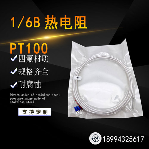 高精度1/6B耐酸碱防腐热电阻