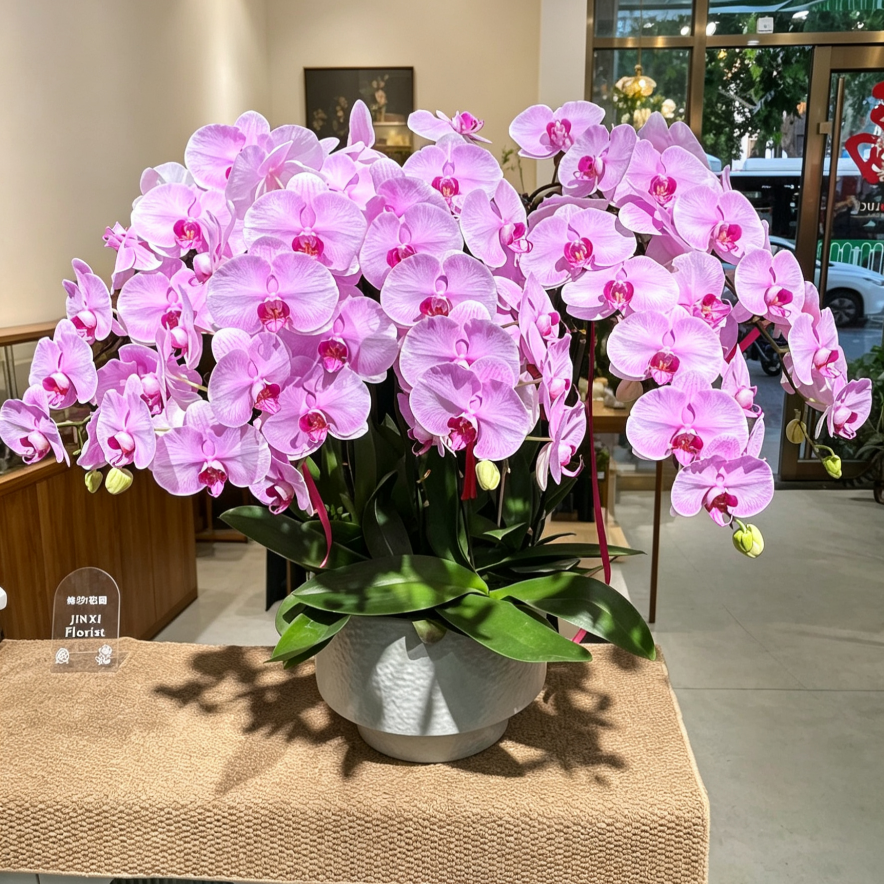 蝴蝶兰盆栽成品青岛同城鲜花速递居家装饰开业乔迁