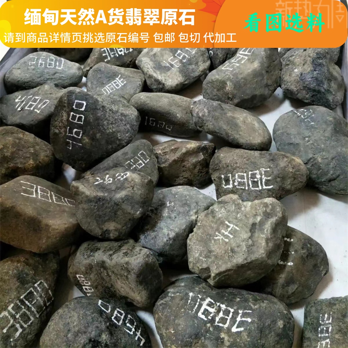 精选缅甸天然A货翡翠原石莫湾基莫西沙大马砍木那场口玉石50元/块