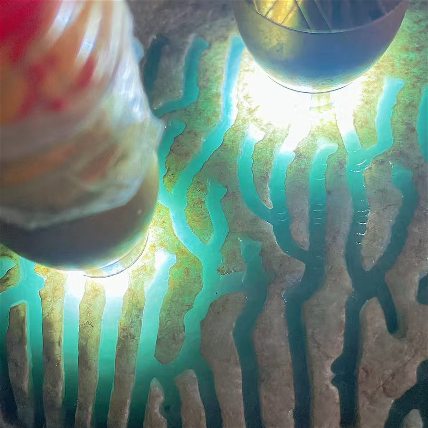 M24572缅甸天然翡翠原石老坑木那场口开窗飘花手镯料 重24公斤