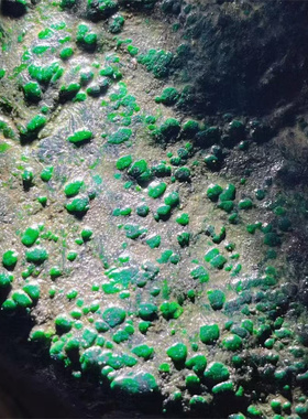 M13480 缅甸天然翡翠原石老坑黑乌沙色料 重1.3公斤