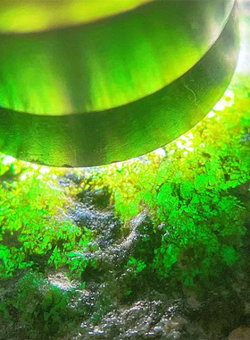 W17830缅甸天然翡翠原石老坑黑乌沙手镯料 重1.7公斤