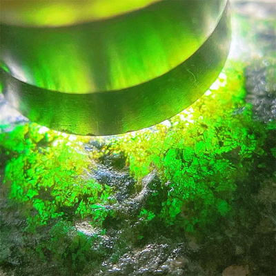 缅甸天然翡翠原石手镯料