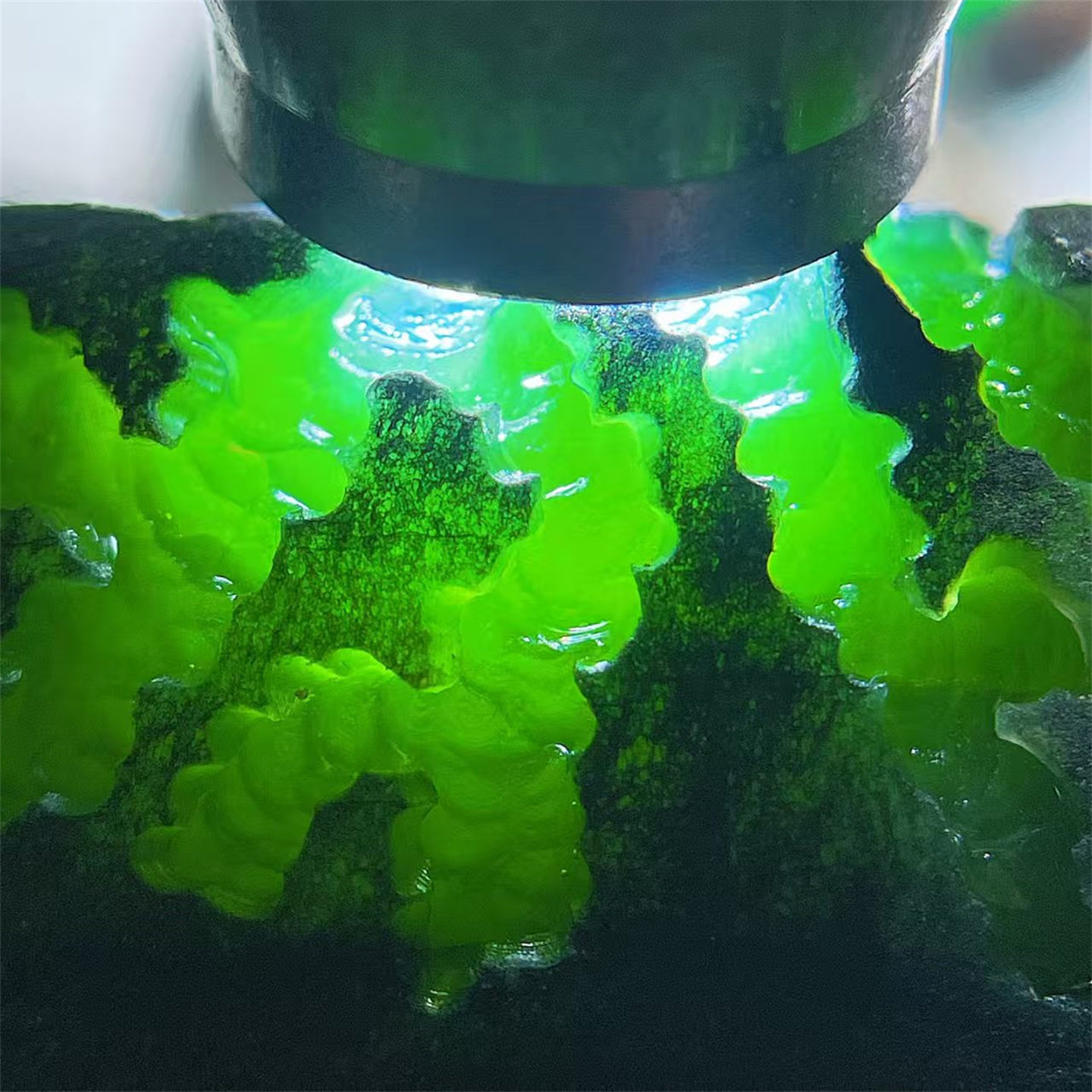 TT08905缅甸天然翡翠原石老坑莫湾基场口开窗牌子料 重0.8公斤