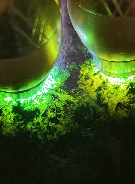 M12347 缅甸天然翡翠原石老坑莫西沙场口牌子料 重1.2公斤