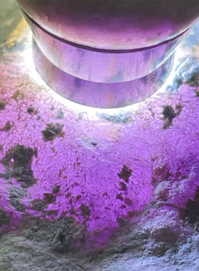 XZ18923 缅甸天然翡翠原石老坑木那场口春料 重1.8公斤