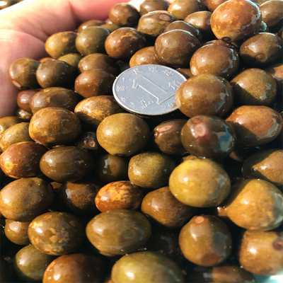 寿县带壳鸡豆芡实老嫩适中薄壳
