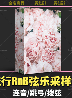 RnB抒情流行弦乐采样包Trap旋律Loop音源FLStudio/Logic/Cubase