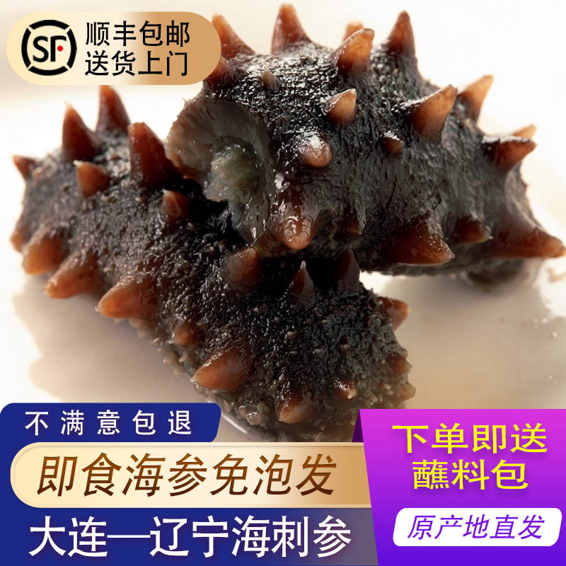 即食大连海参顺丰包邮