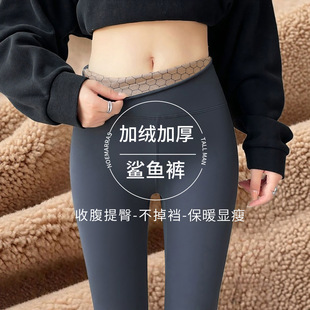 瑜伽打底裤 加绒鲨鱼裤 东北特厚棉裤 羊羔绒加厚保暖裤 女外穿秋冬季