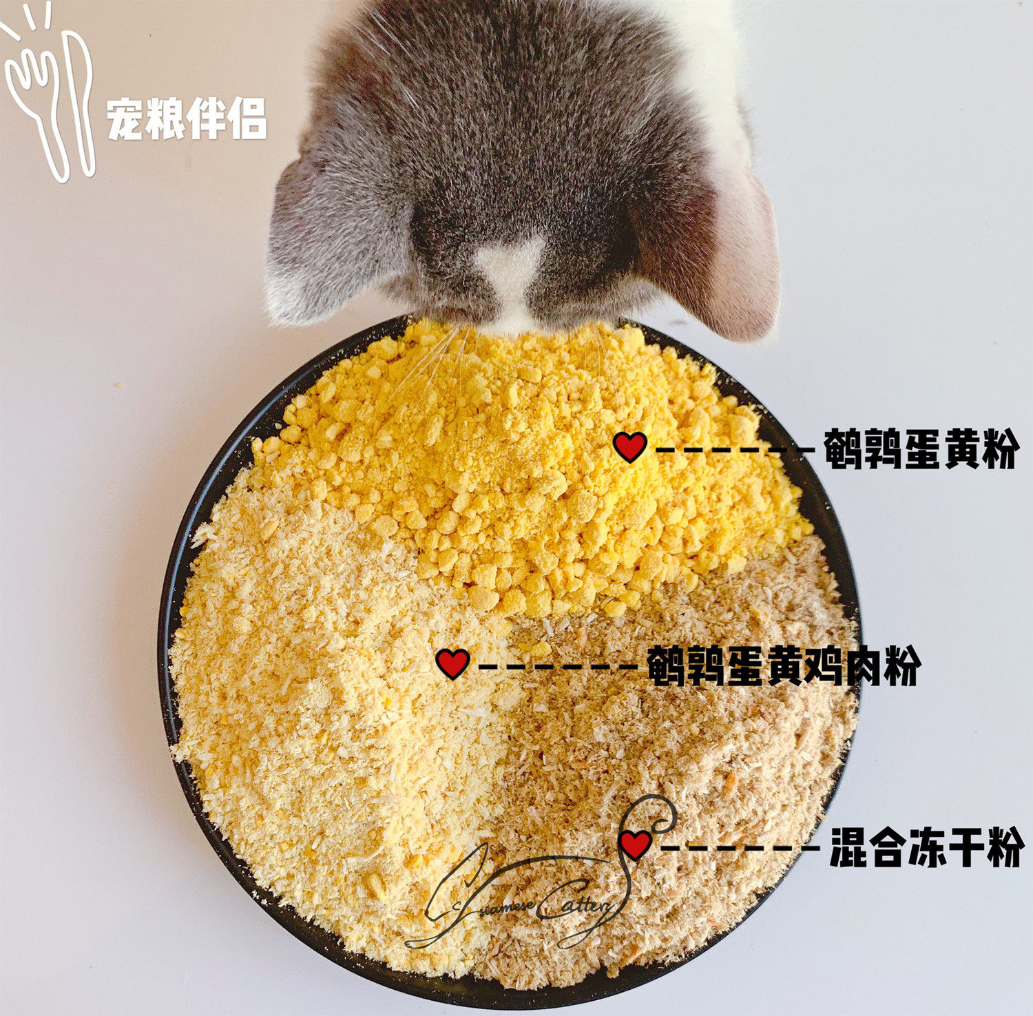 Cc猫狗零食冻干粉宠物食品伴侣鹌鹑蛋黄粉鸡肉粉可做佐餐奖励零食