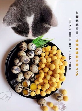 Cc鲜肉冻干鹌鹑蛋黄60g罐装 新品天然卵磷脂猫咪狗狗零食营养美毛