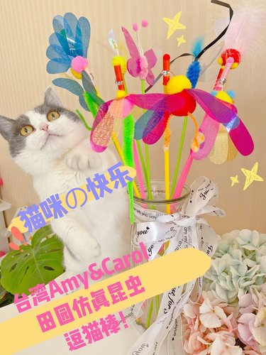 cc家台湾amy田园发声长杆逗猫棒