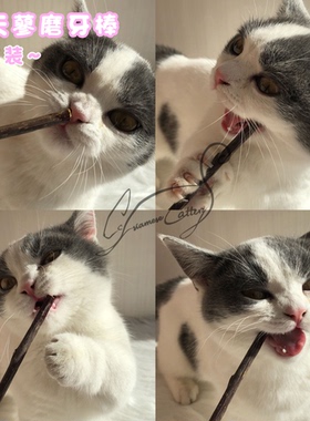 Cc家猫咪磨牙棒佩格小猫粉色5支装木天蓼棒幼猫啃咬洁齿零食洁齿