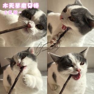 木天蓼棒幼猫啃咬洁齿零食洁齿 Cc家猫咪磨牙棒佩格小猫粉色5支装