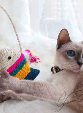 Cc家 老顾客专用链接 邮费补差身披袈裟秧板专项服务