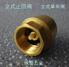 全铜立式止回阀 黄铜内螺纹止逆阀大体铜单向阀 弹簧式止水阀