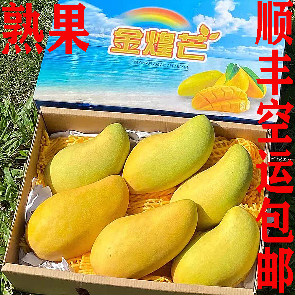 海南三亚 金煌芒 新鲜水果 时令芒果 肉厚香甜 无筋无丝 顺丰包邮
