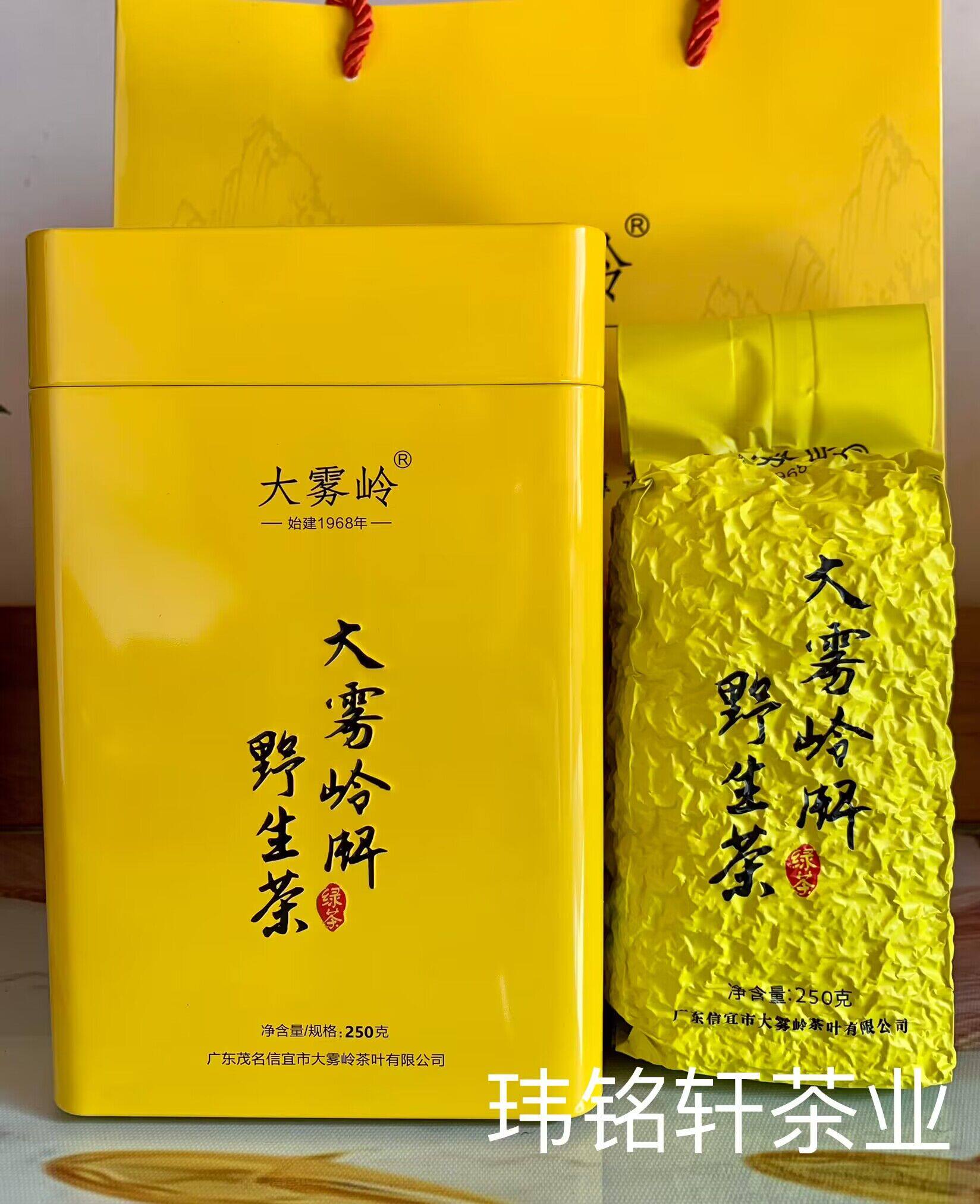 信宜特产名茶--大雾岭野生茶250克高山绿茶新茶顺丰包邮!