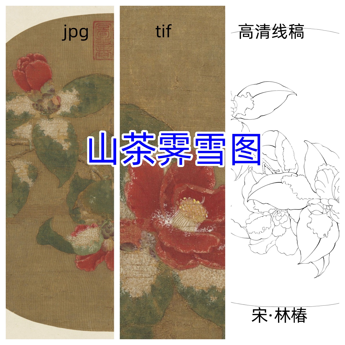 宋代林椿·山茶霁雪图/高清白描线稿中式绘画古风元素国画白雪图