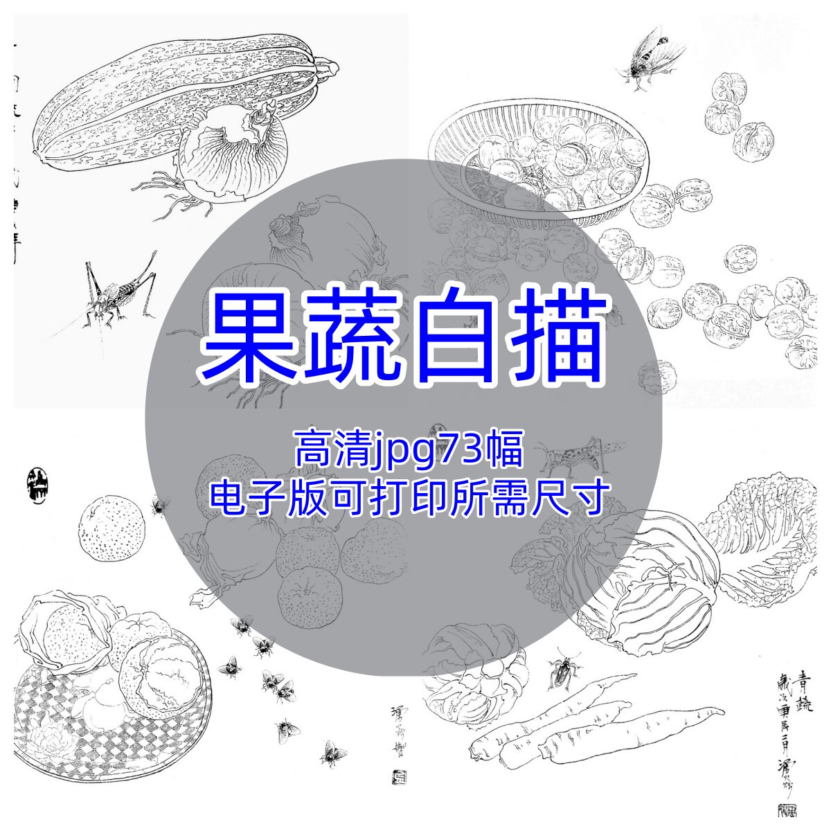 果蔬白描73幅/中国画线描底稿蔬菜水果画谱工笔画插画图案电子图