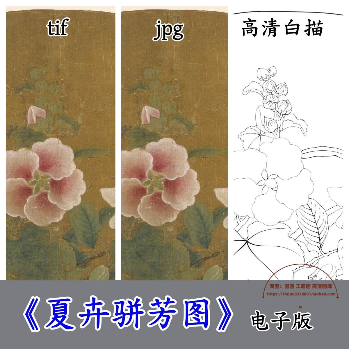 宋代鲁宗贵夏卉骈芳图白描底稿+彩图/手绘高清国画工笔花鸟电子版