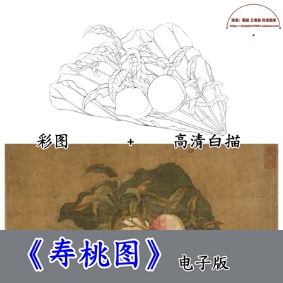 五代丁谦寿桃图彩图+白描底稿/高清手绘细节电子版参考桃子图临摹