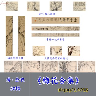 清代金农梅花合集/水墨梅画扇面梅花对轴对联梅花图册页电子图