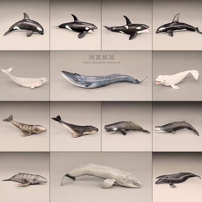 大号鲸鱼蓝鲸白鲸座头鲸虎鲸玩具
