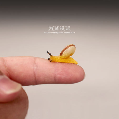 微景观微缩仿真动物模型 静态袖珍小蜗牛爬行姿态模型小摆件玩具