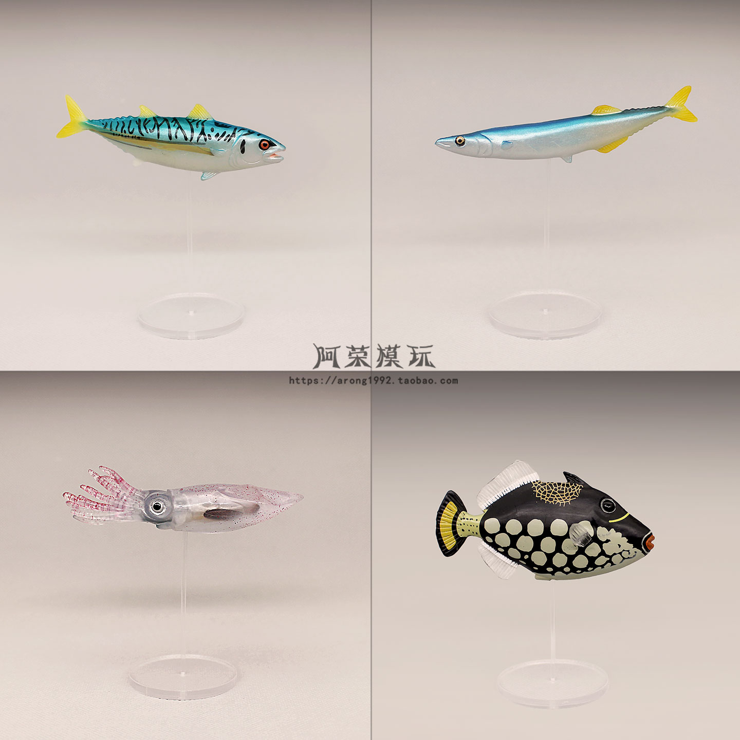 微景观微缩海洋动物 炮弹鱼秋刀鱼金枪鱼乌贼 迷你模型底座小摆件