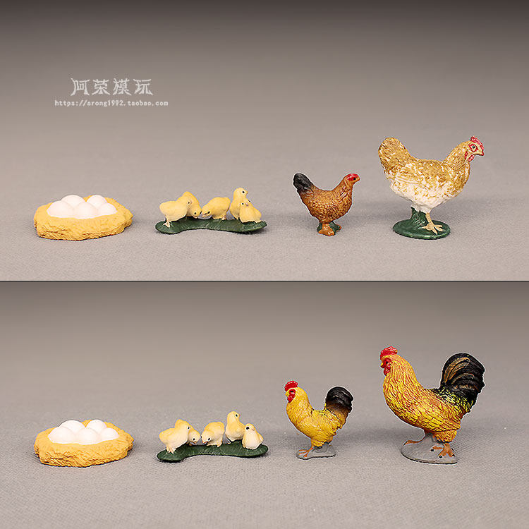 认知教具农场动物模型 鸡蛋小鸡花色公母鸡 成长变化周期模型摆件
