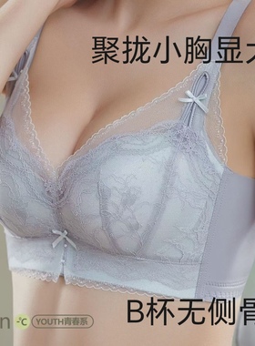 2025秋款韩姿华3561#B杯中厚高侧包调整型聚拢蕾丝内衣小胸显丰满