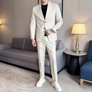 薄款 莱赛尔天丝羊毛西服男夏季 套装 活袖 两件套 衩商务西装 TGH
