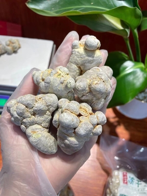 冻干三七云南文山比晒干打粉更细腻口感好可以嚼着吃的袋装500克