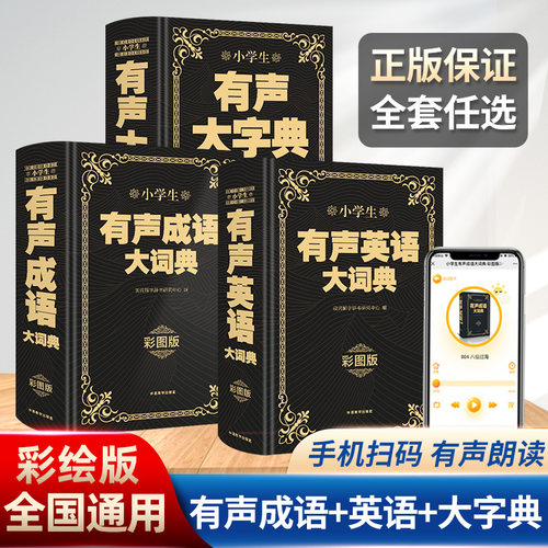 有声大字典彩印版中小学生通用