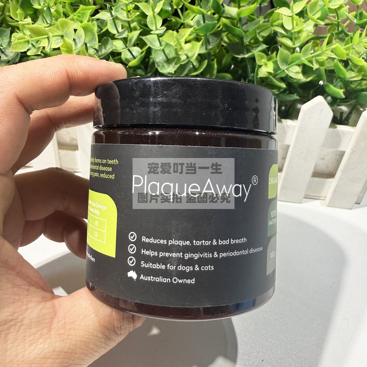 港购 澳洲PlaqueAway猫狗天然有机洁齿粉 防口臭牙结石牙菌斑100g
