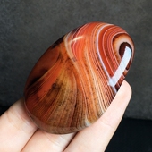 天然缠丝玛瑙原石打磨雨花石七彩花纹手把件鱼缸造景家居装 饰摆件