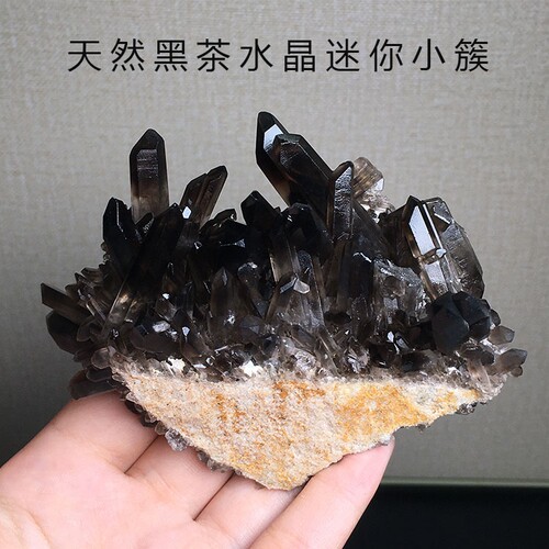 天然黑水晶簇茶晶迷你小簇摆件