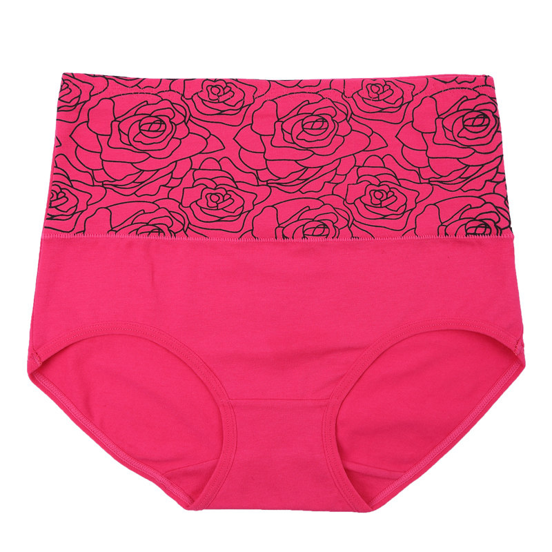 Slip en coton - Ref 666555 Image 4