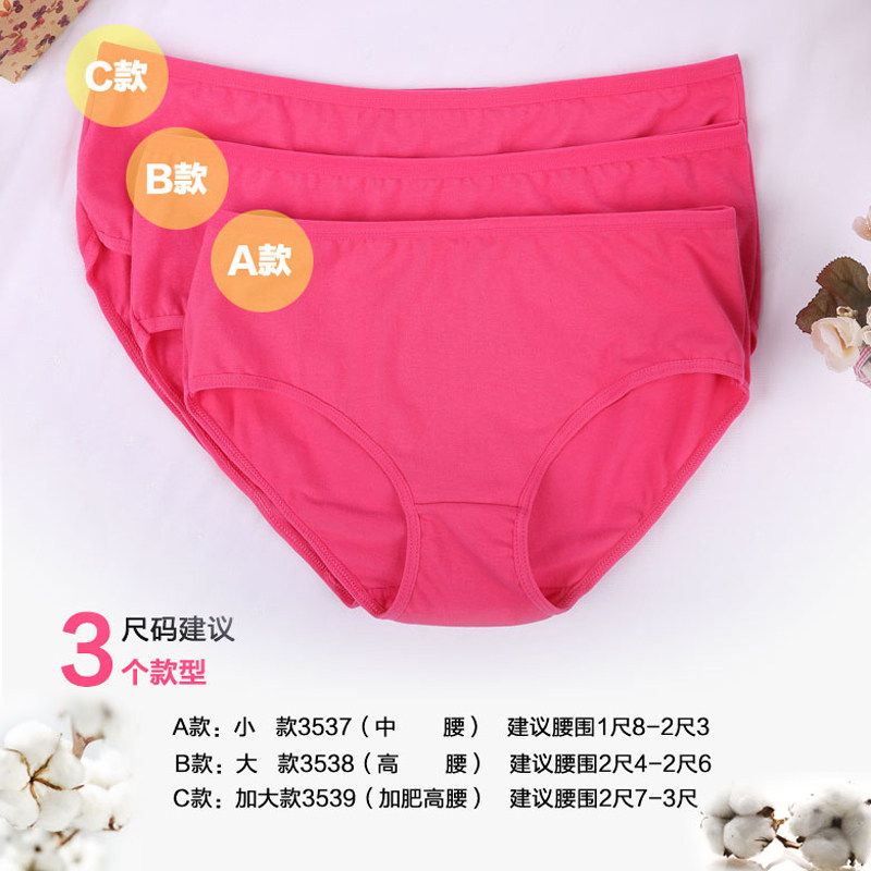 Slip jeunesse en coton - Ref 666576 Image 5