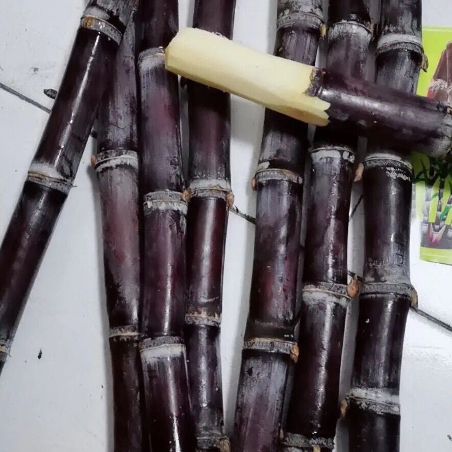 浙江黑皮甘蔗煲汤清热润喉甜甜甘蔗