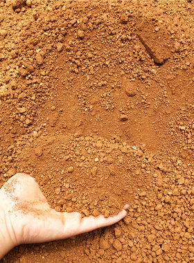 偏酸性种花种菜茶花茉莉红土透气性好泥土黄土营养土专用泥土