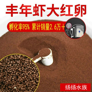 扬扬水族大红卵可孵化丰年虾卵精品卤虫卵 孵化率95%鱼苗开口饲料