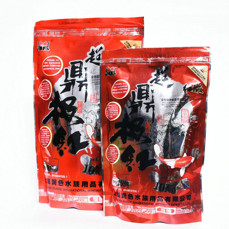 润色鼎极红小金鱼锦鲤小粒冷水鱼